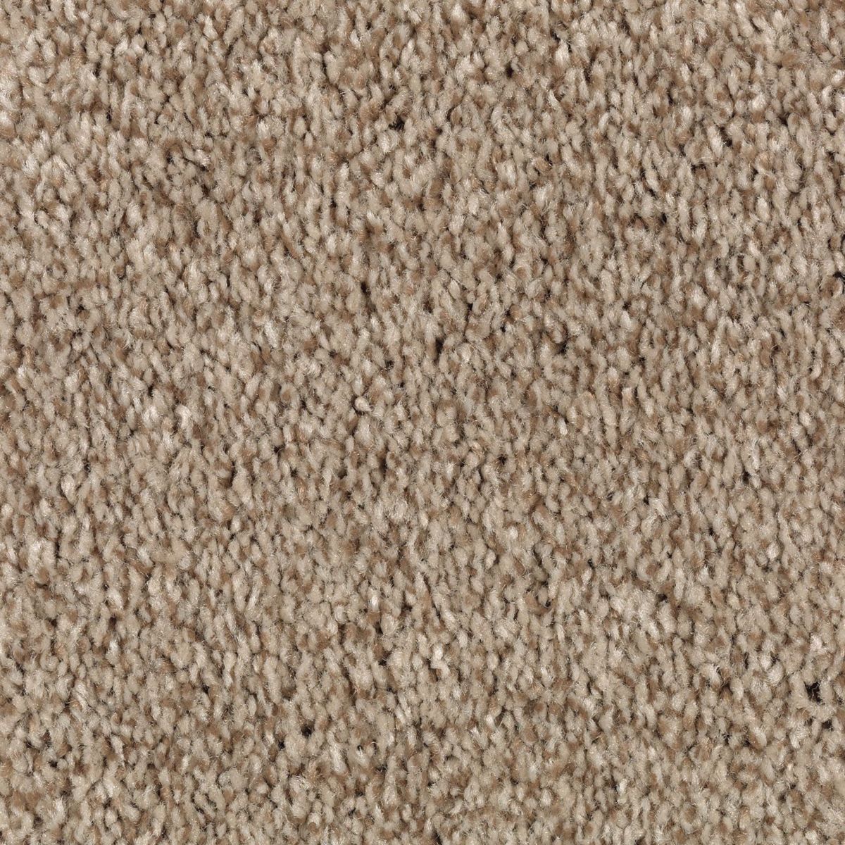 Natural Accents I carpet in Saddle Brown