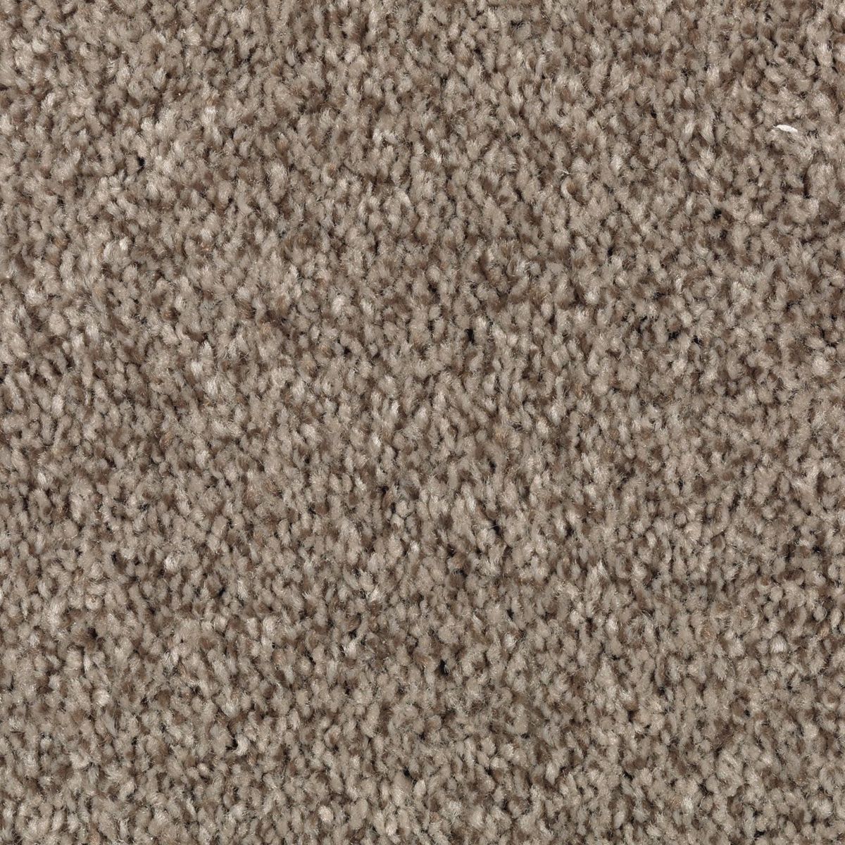 Natural Accents I carpet in Truffle