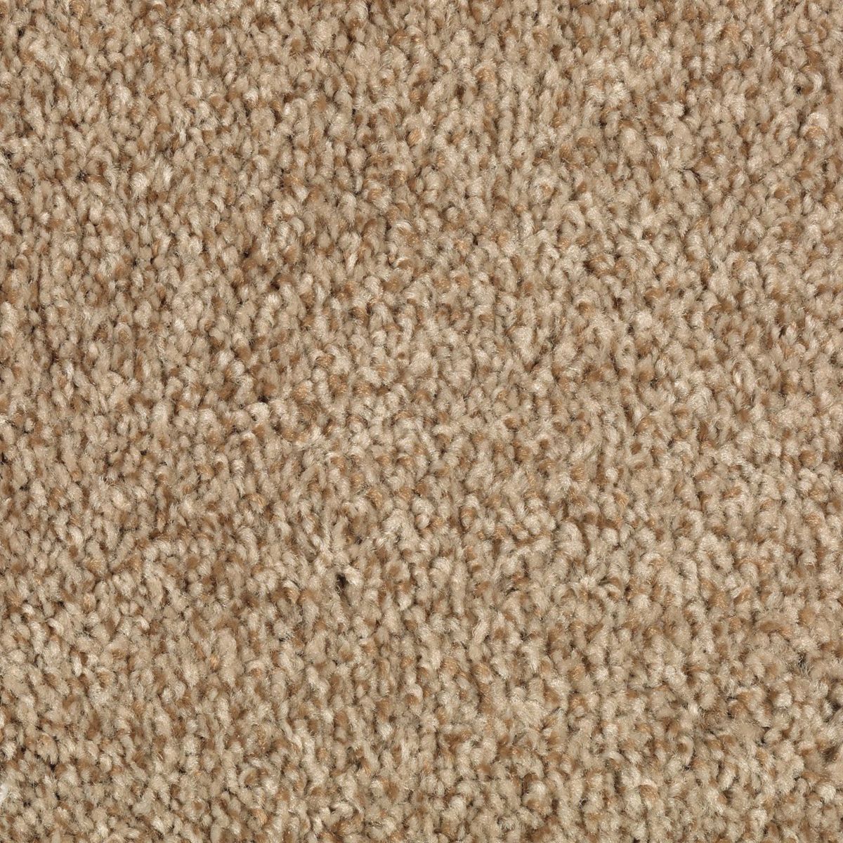 Natural Accents I carpet in Wild Cattail