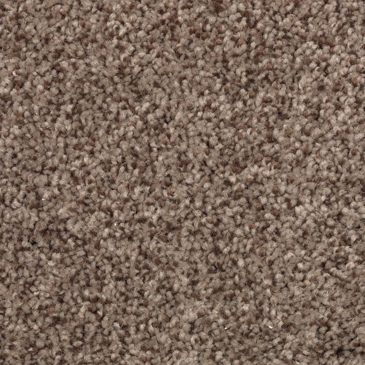 Tonal Chic I carpet in Royal Pecan