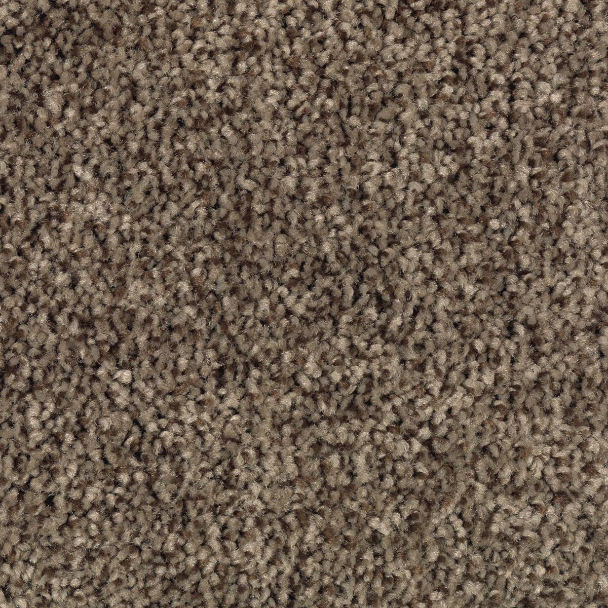 Natural Accents I carpet in Party Mix