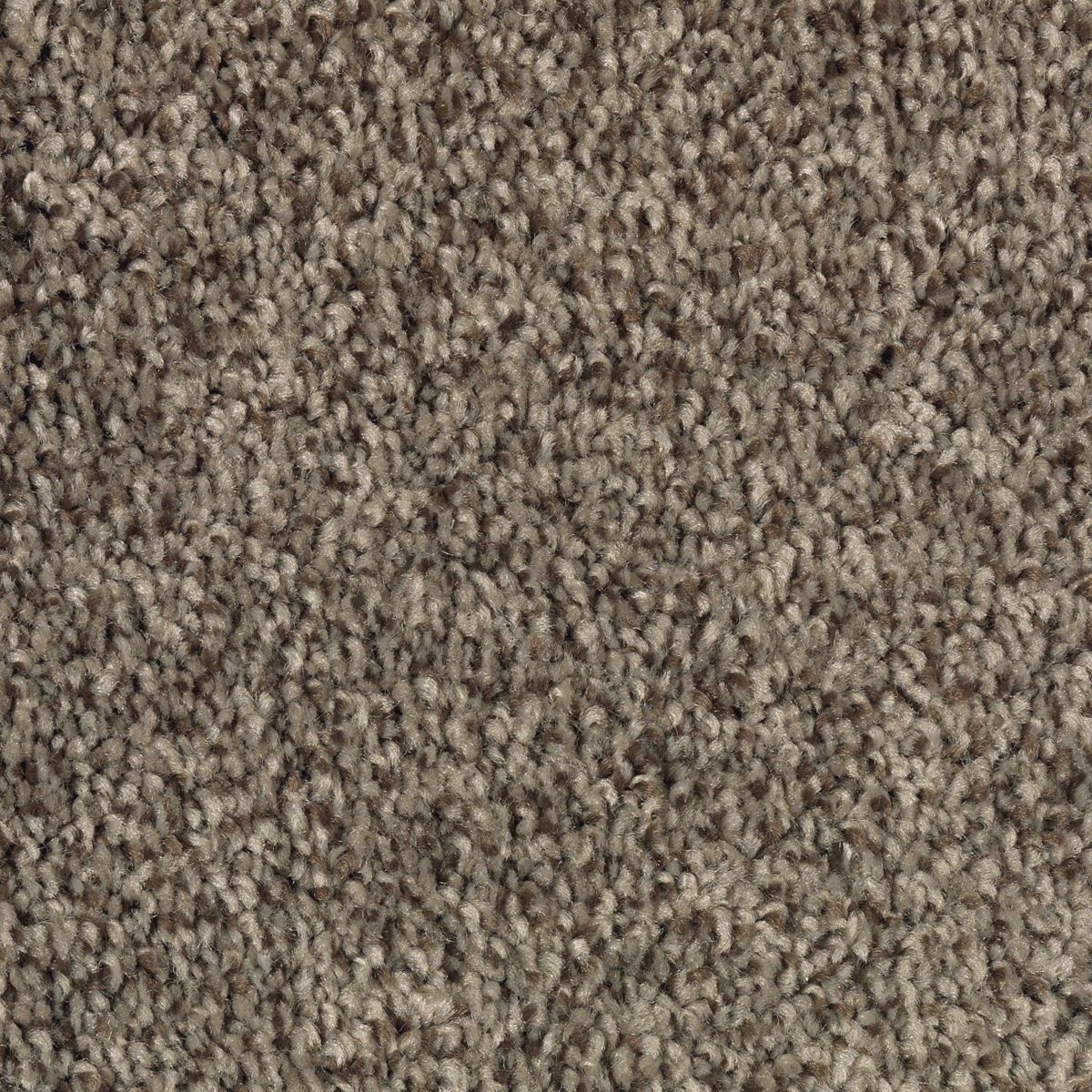 Natural Accents I carpet in Black Walnut