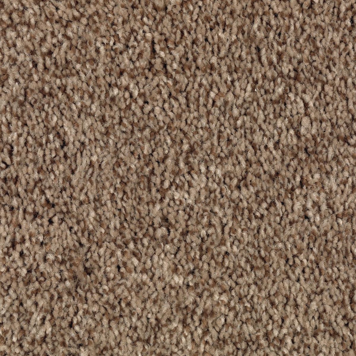 Natural Accents I carpet in Highlander