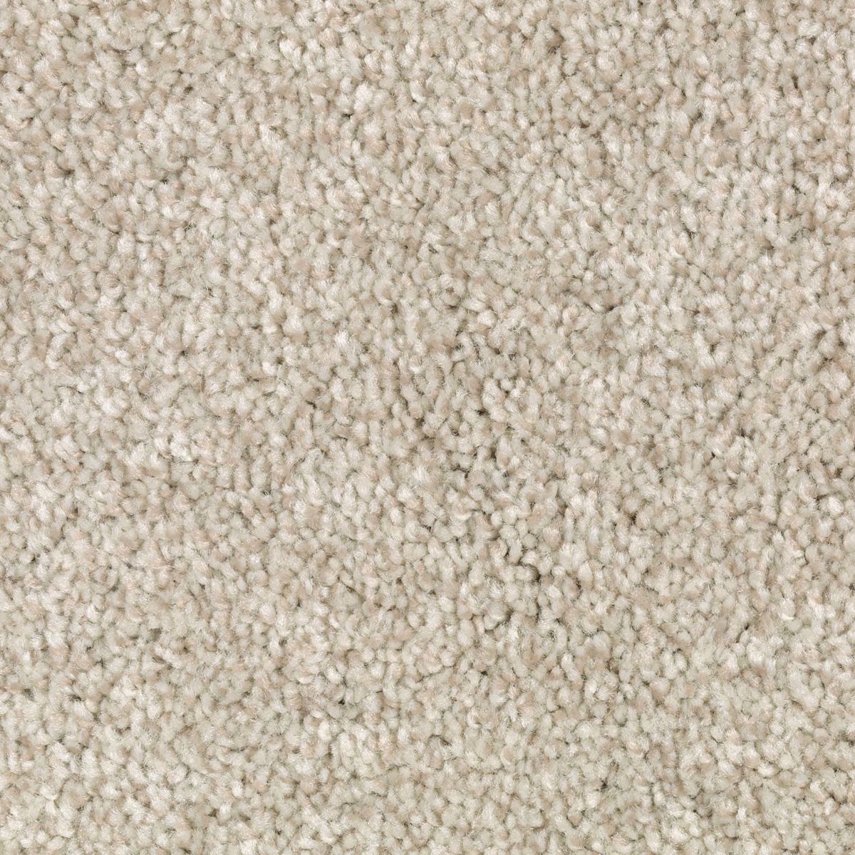Natural Accents I carpet in Coastal Fog