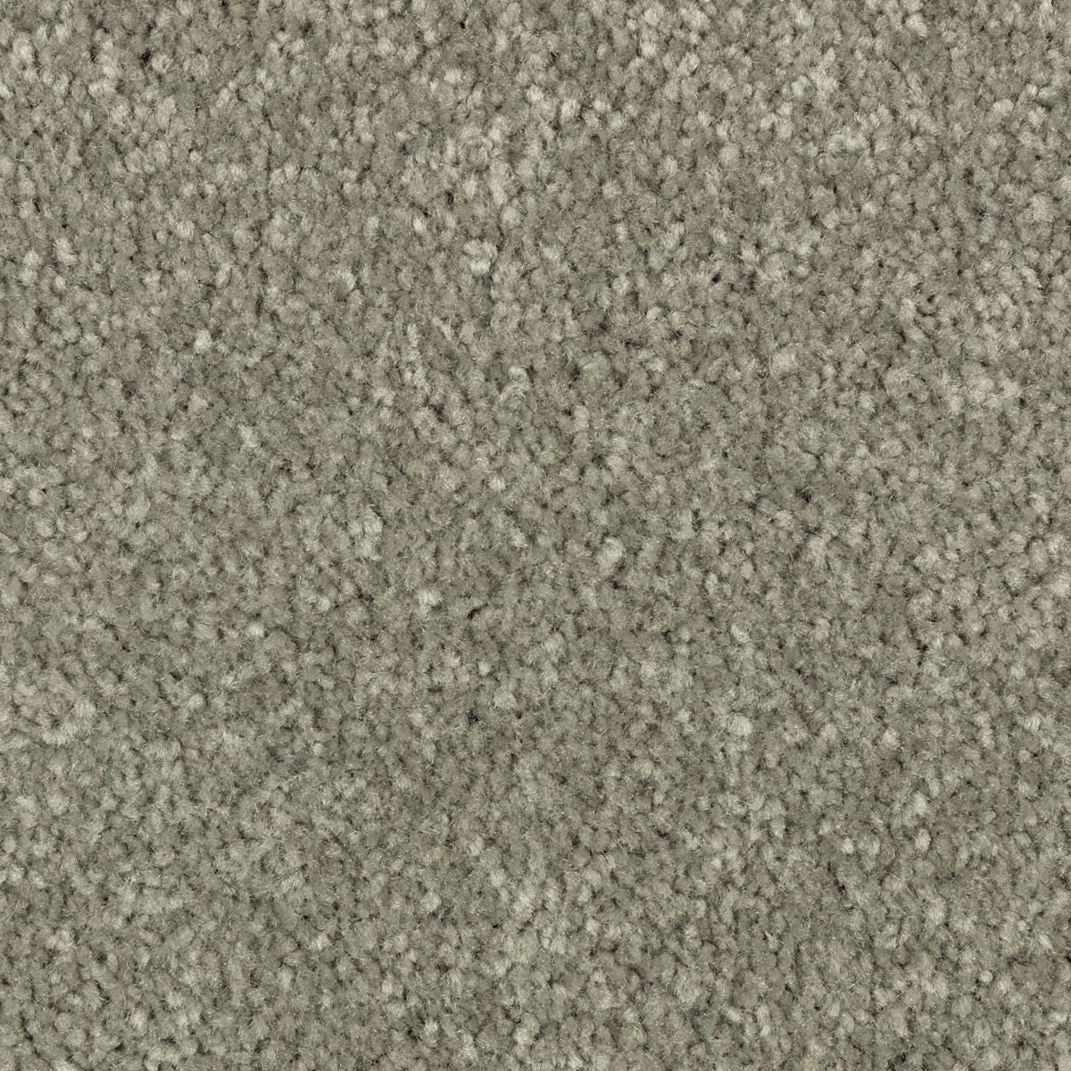Simple Touch I carpet in Concord Green