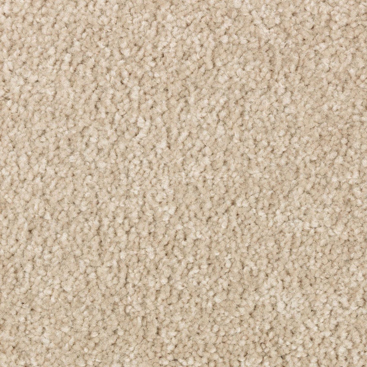 Simple Touch I carpet in Ancient Scroll