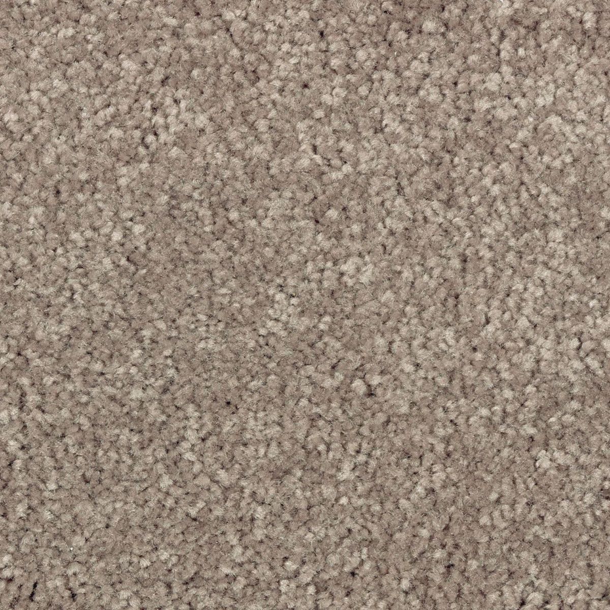Simple Touch I carpet in Iron Rust