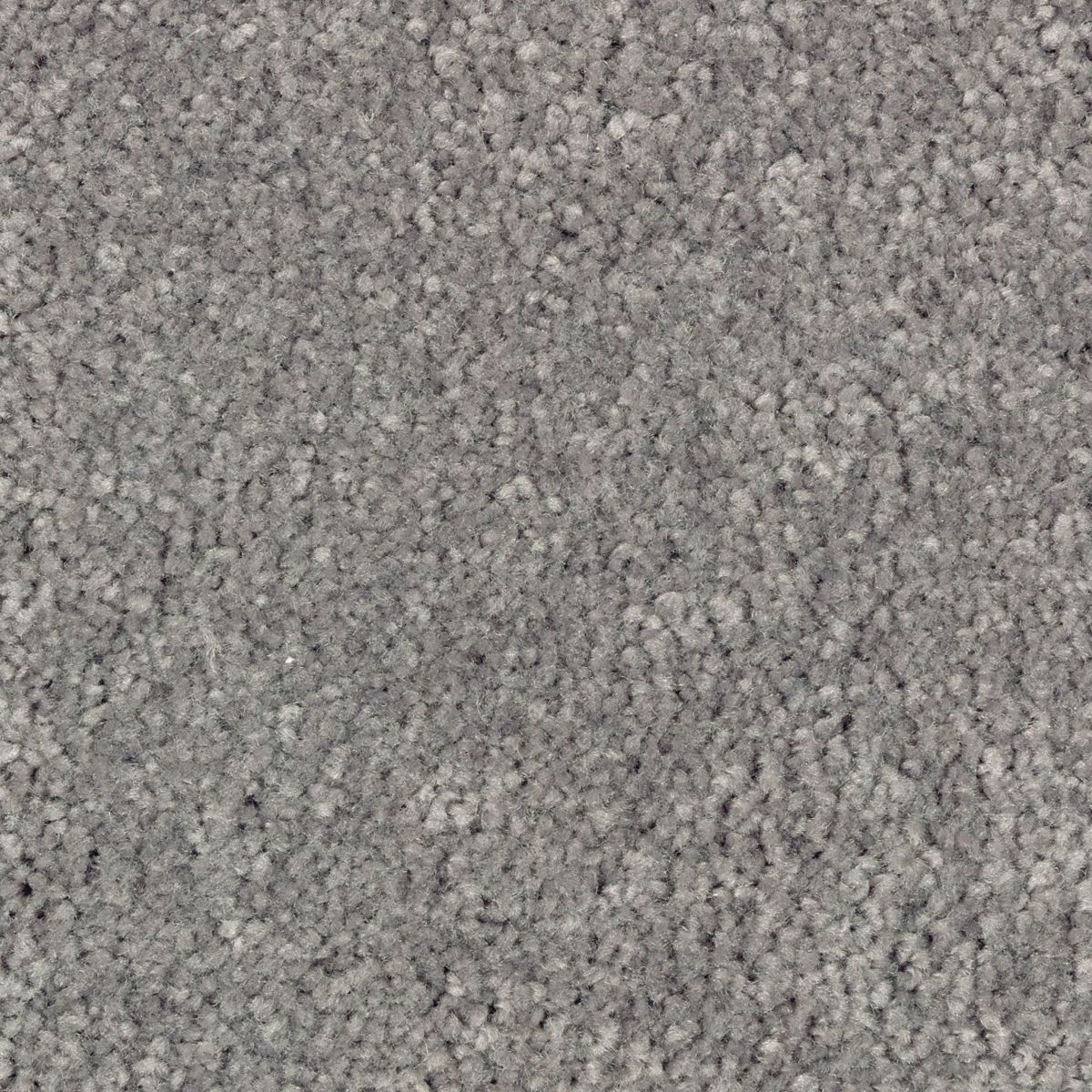 Simple Touch I carpet in Thunder River