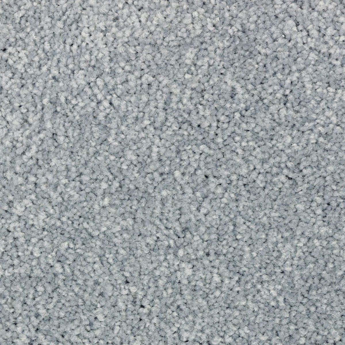 Elegant Appeal II carpet in Sea Cove