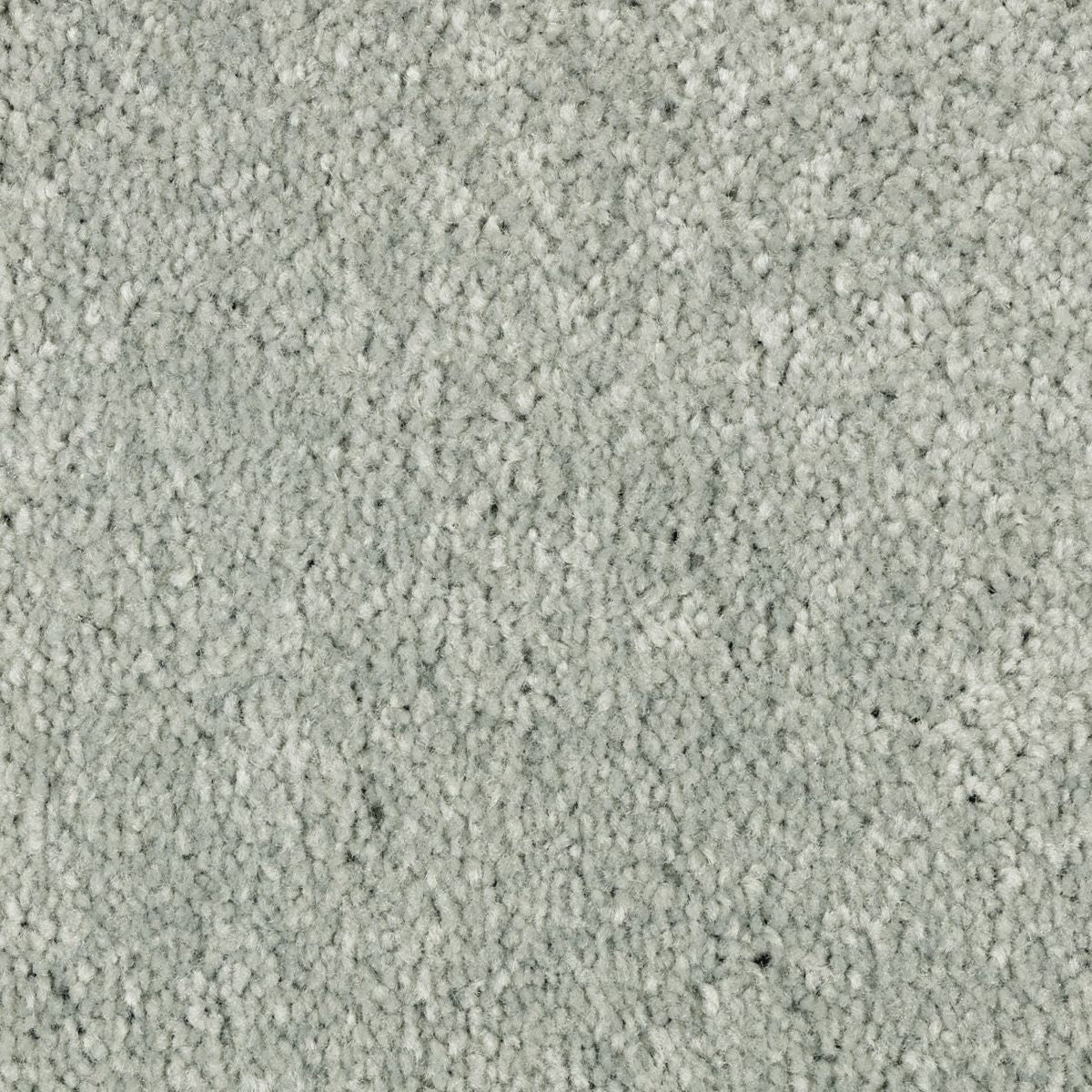 Elegant Appeal II carpet in Fairway