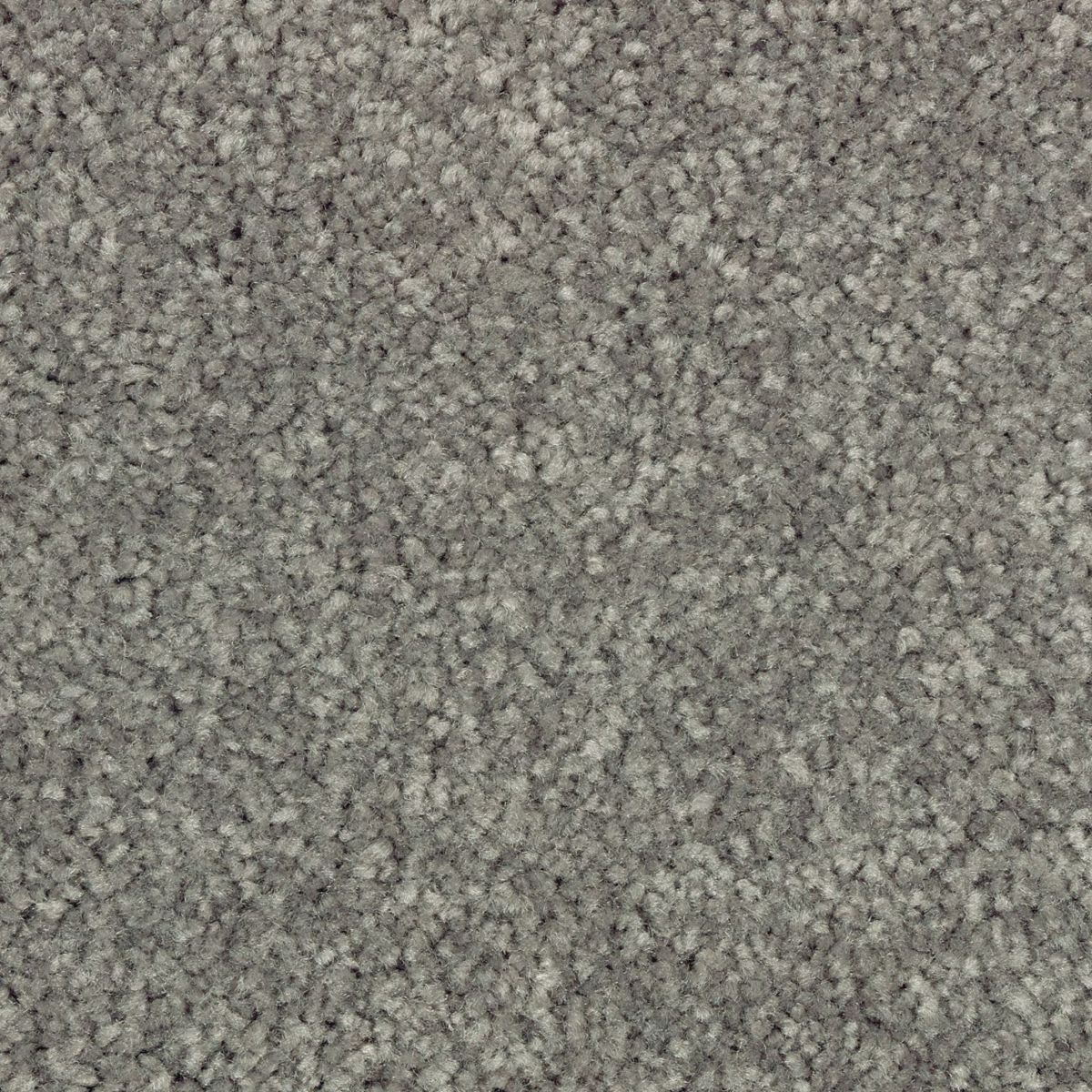Elegant Appeal II carpet in Aspen