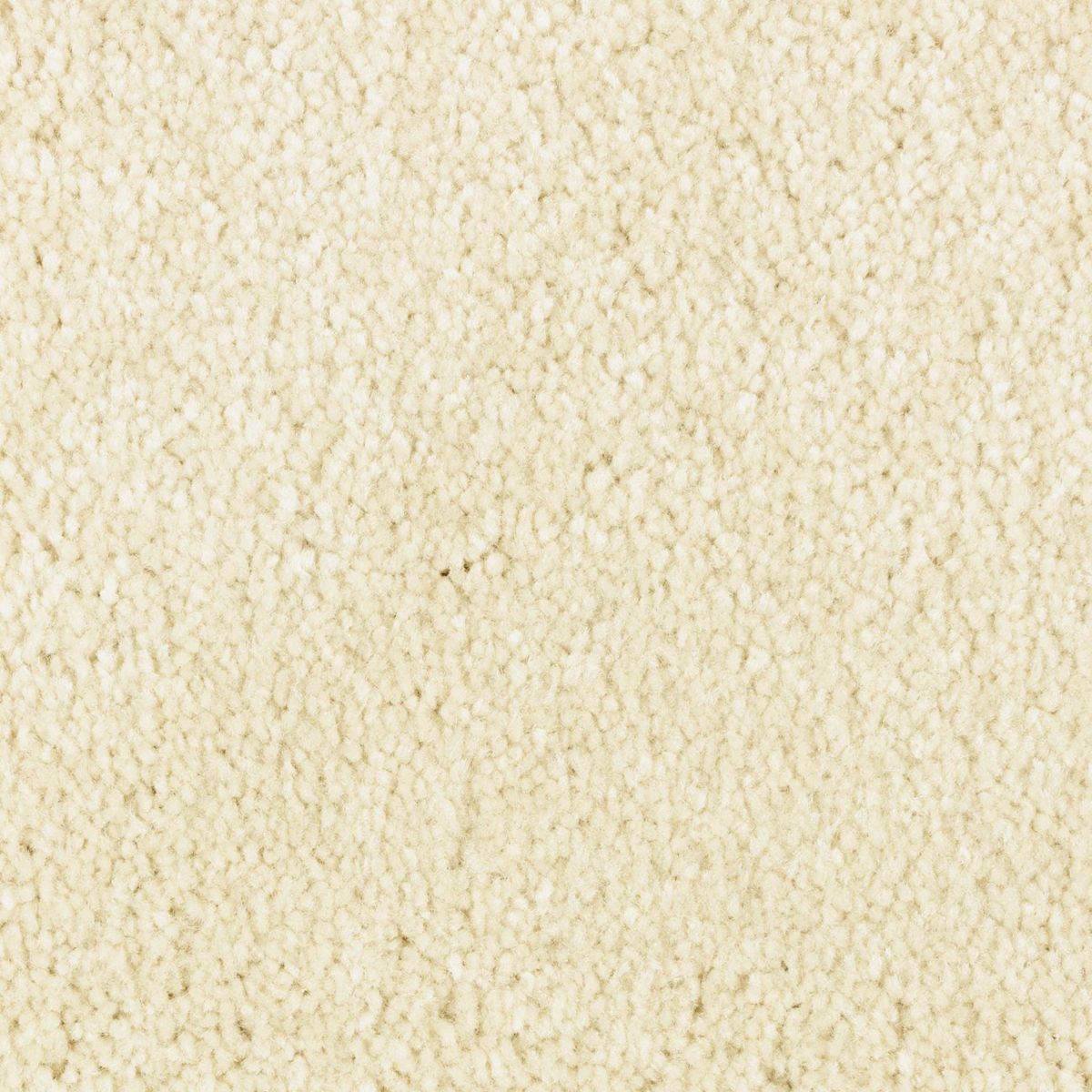 Simple Touch II carpet in Flaky Coconut