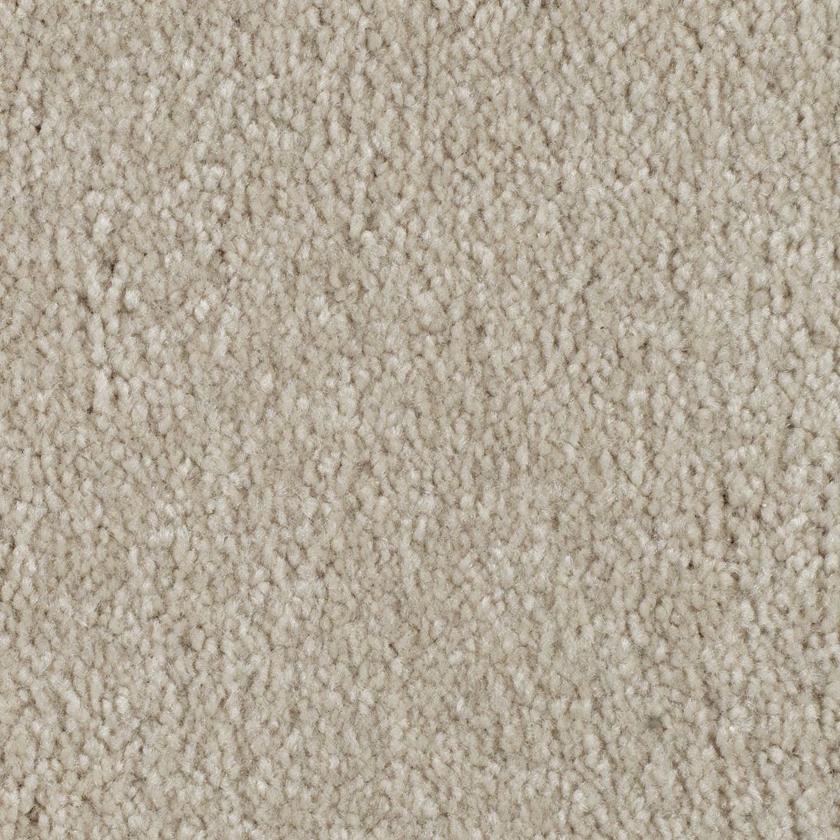 Elegant Appeal II carpet in Coastal