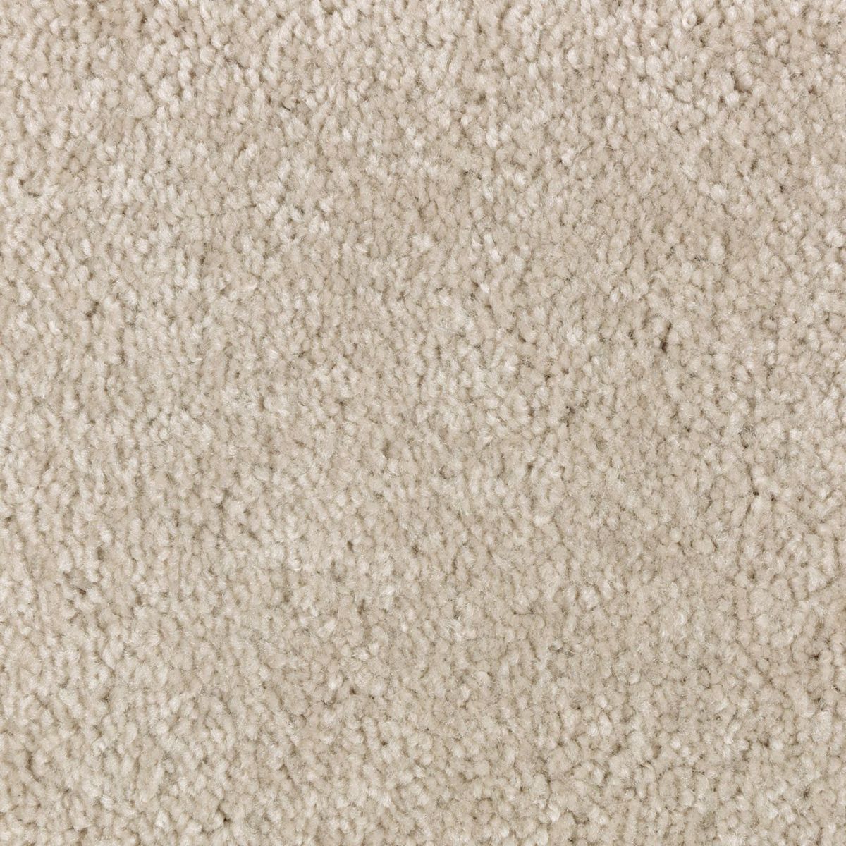 Simple Touch II carpet in Moonrise