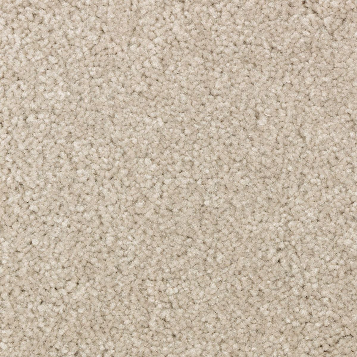 Elegant Appeal II carpet in Manor Stone