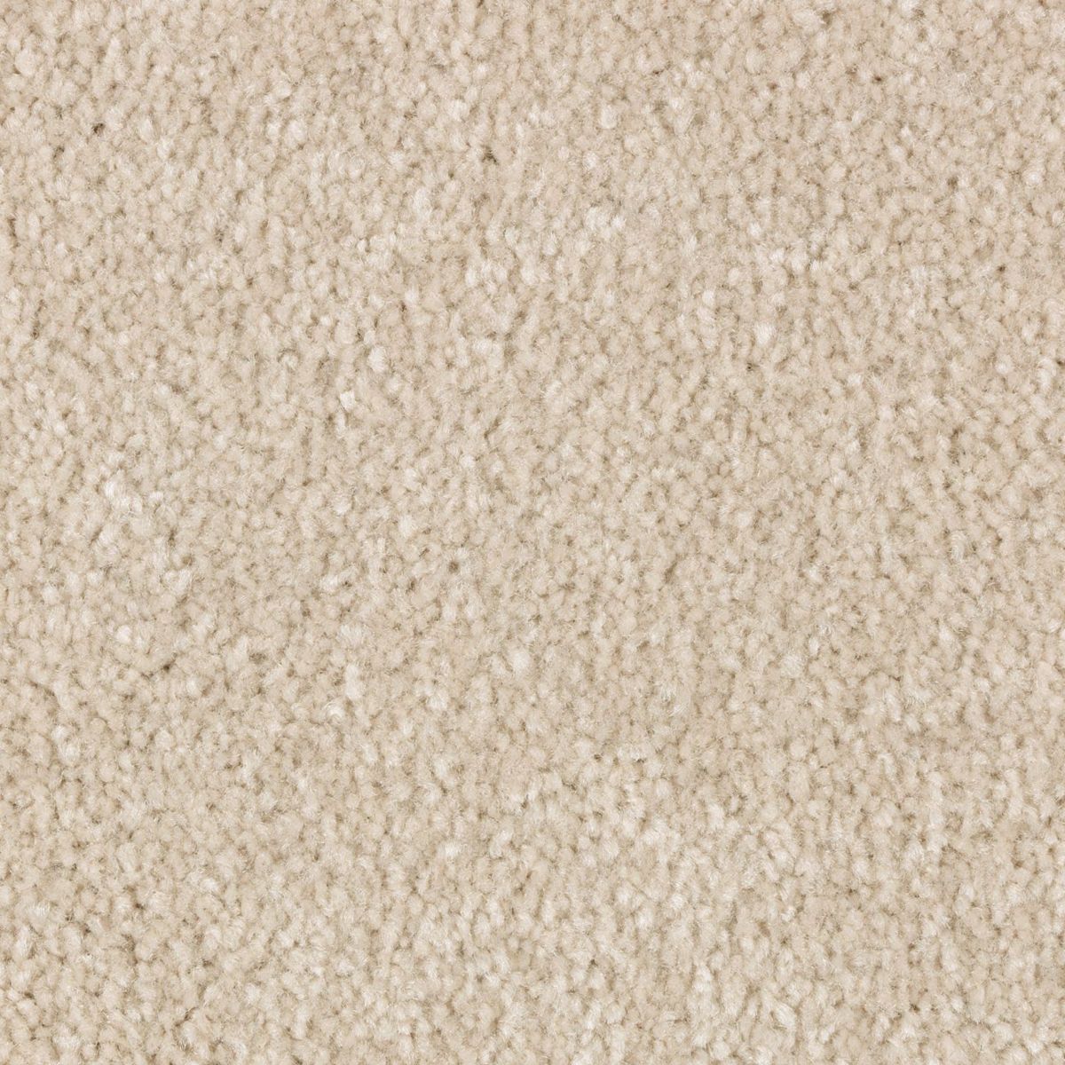 Elegant Appeal II carpet in Desert Dust