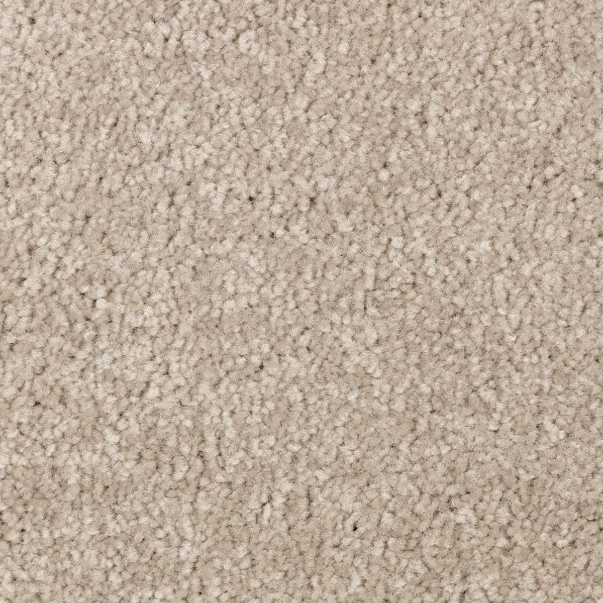 Elegant Appeal II carpet in Outback