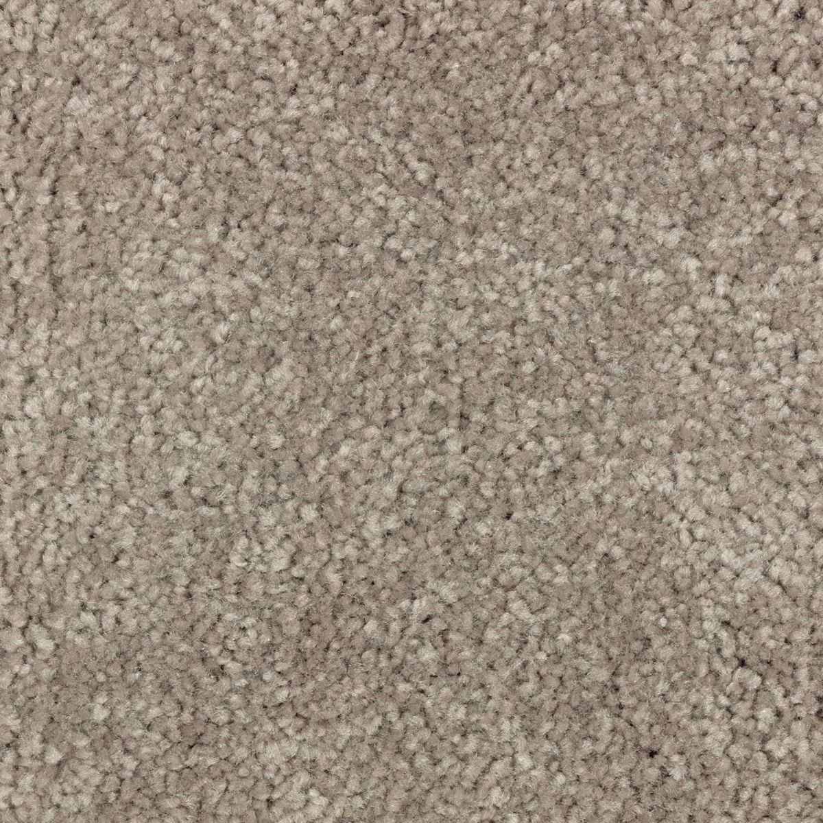 Elegant Appeal II carpet in Tomorrow's Taupe