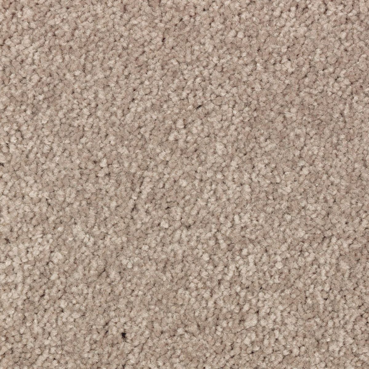 Elegant Appeal II carpet in Arena Dorado
