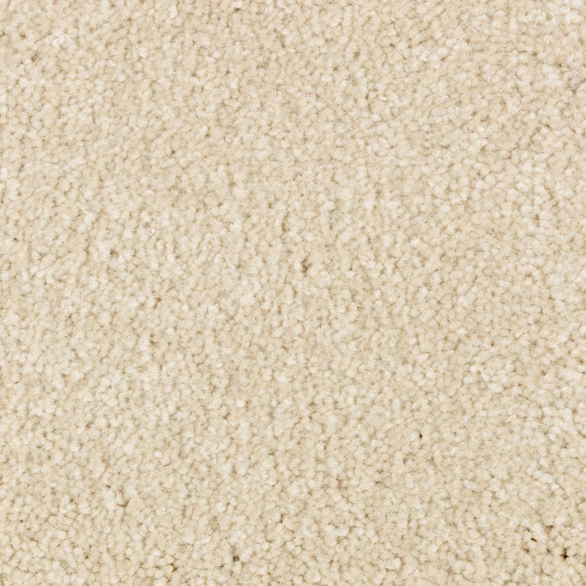Elegant Appeal II carpet in Salutation