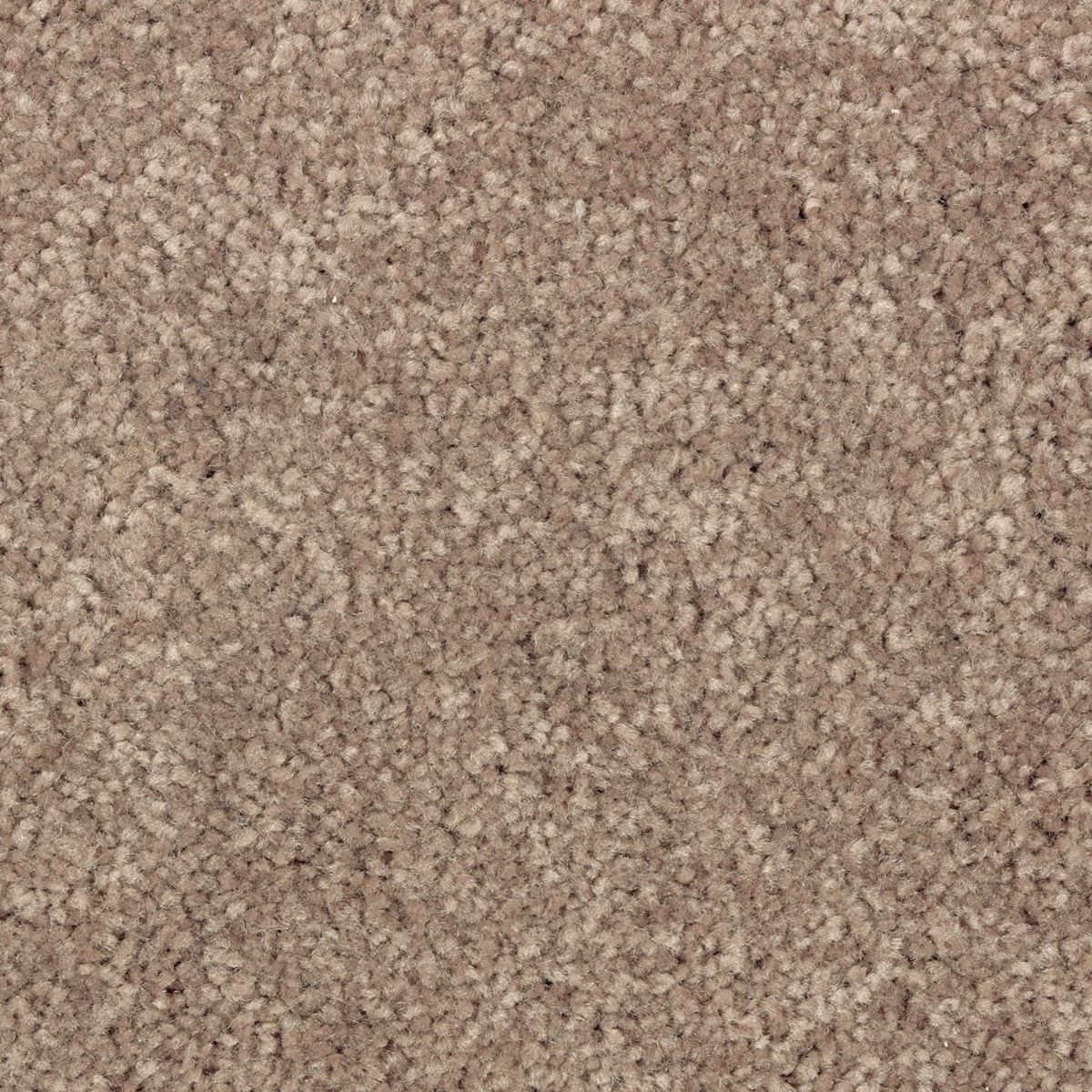 Elegant Appeal II carpet in Season's Change