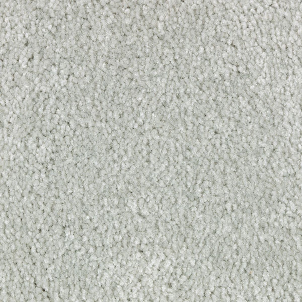 Simple Touch II carpet in Cape Mist
