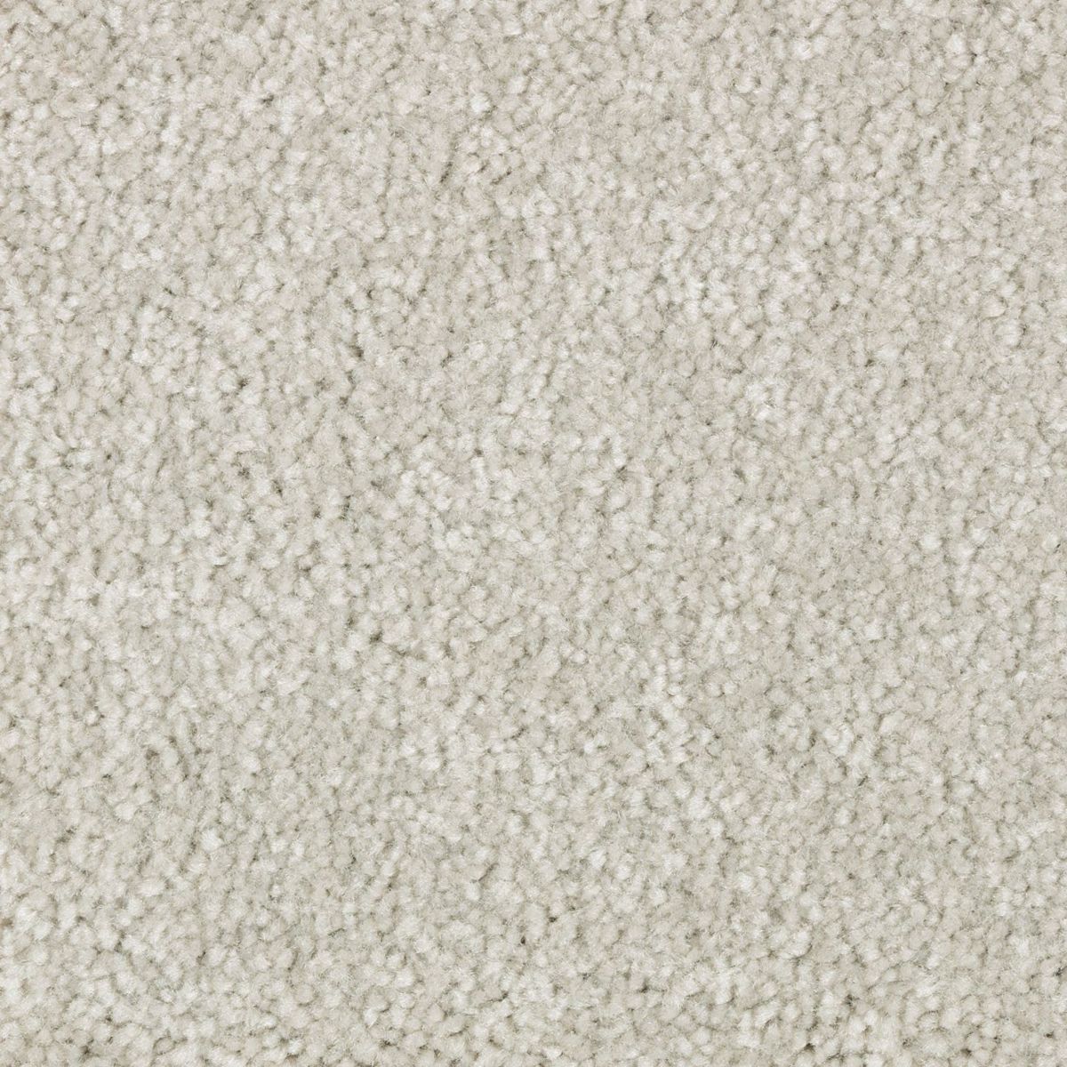 Elegant Appeal II carpet in Silhouettes
