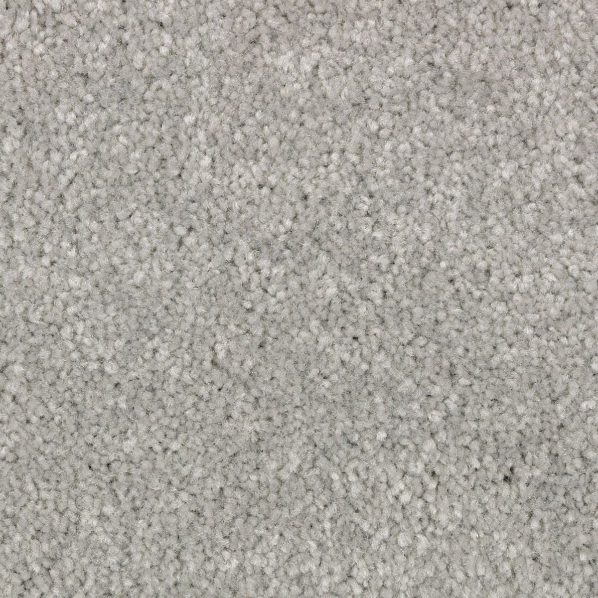 Simple Touch II carpet in Rocky Ridge