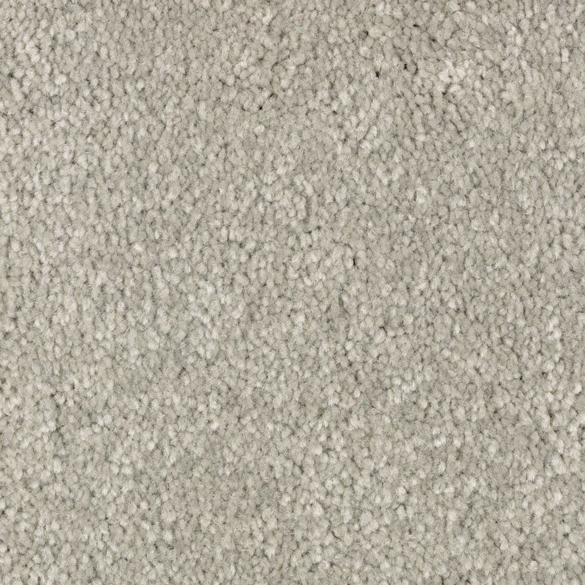 Elegant Appeal II carpet in Highgate