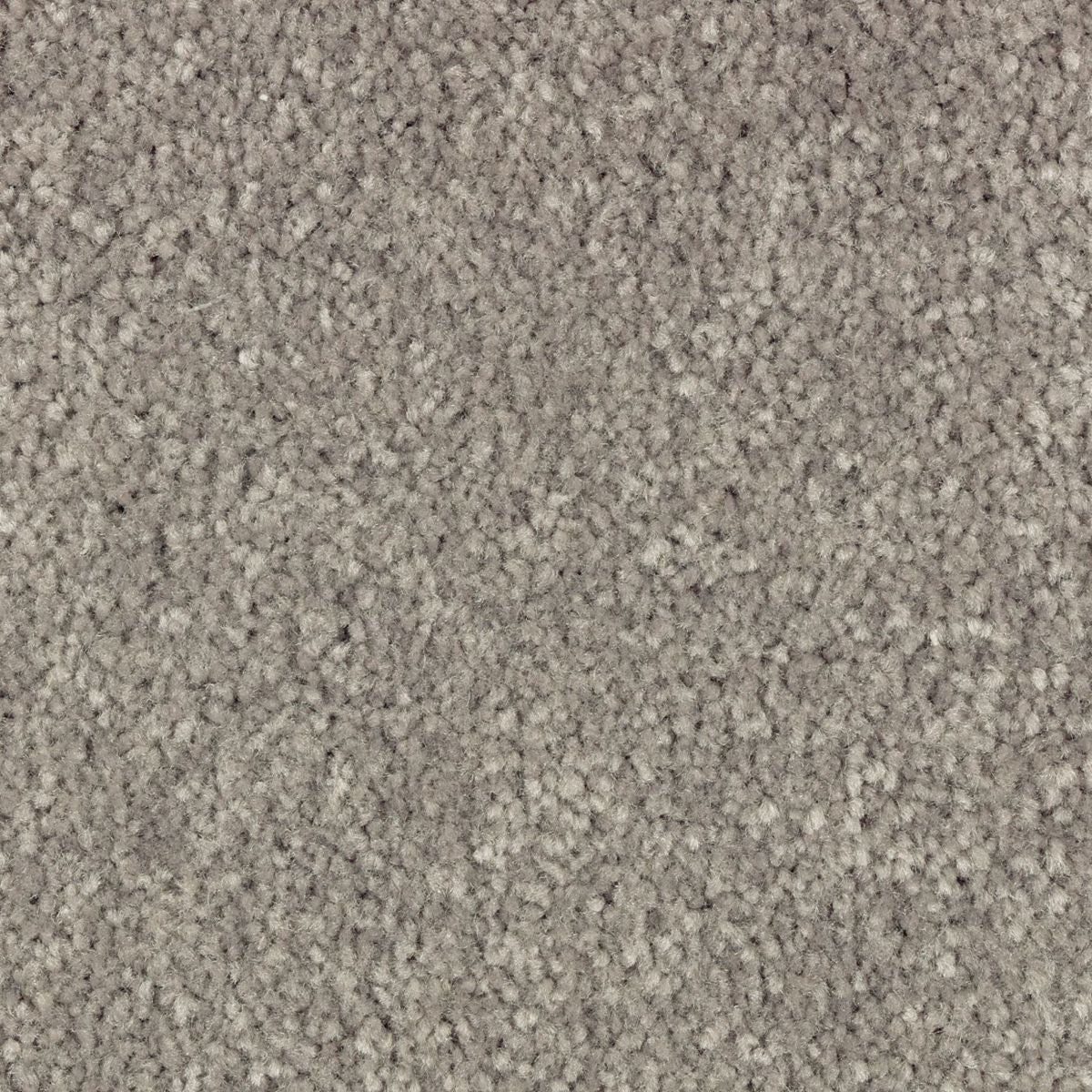 Elegant Appeal II carpet in Clam Island