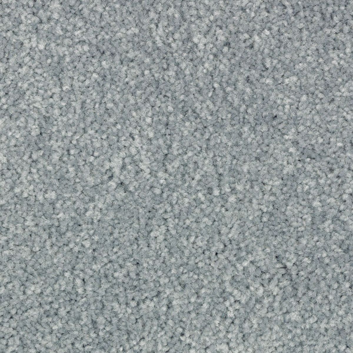 Elegant Appeal III carpet in Bermuda Bay