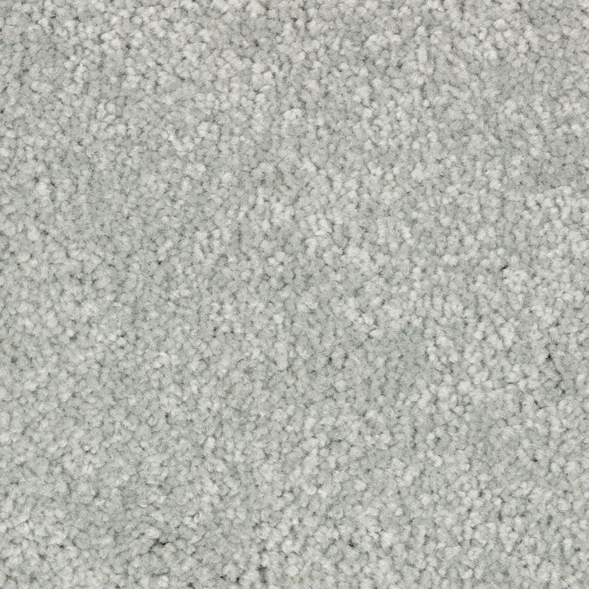 Elegant Appeal III carpet in Calypso