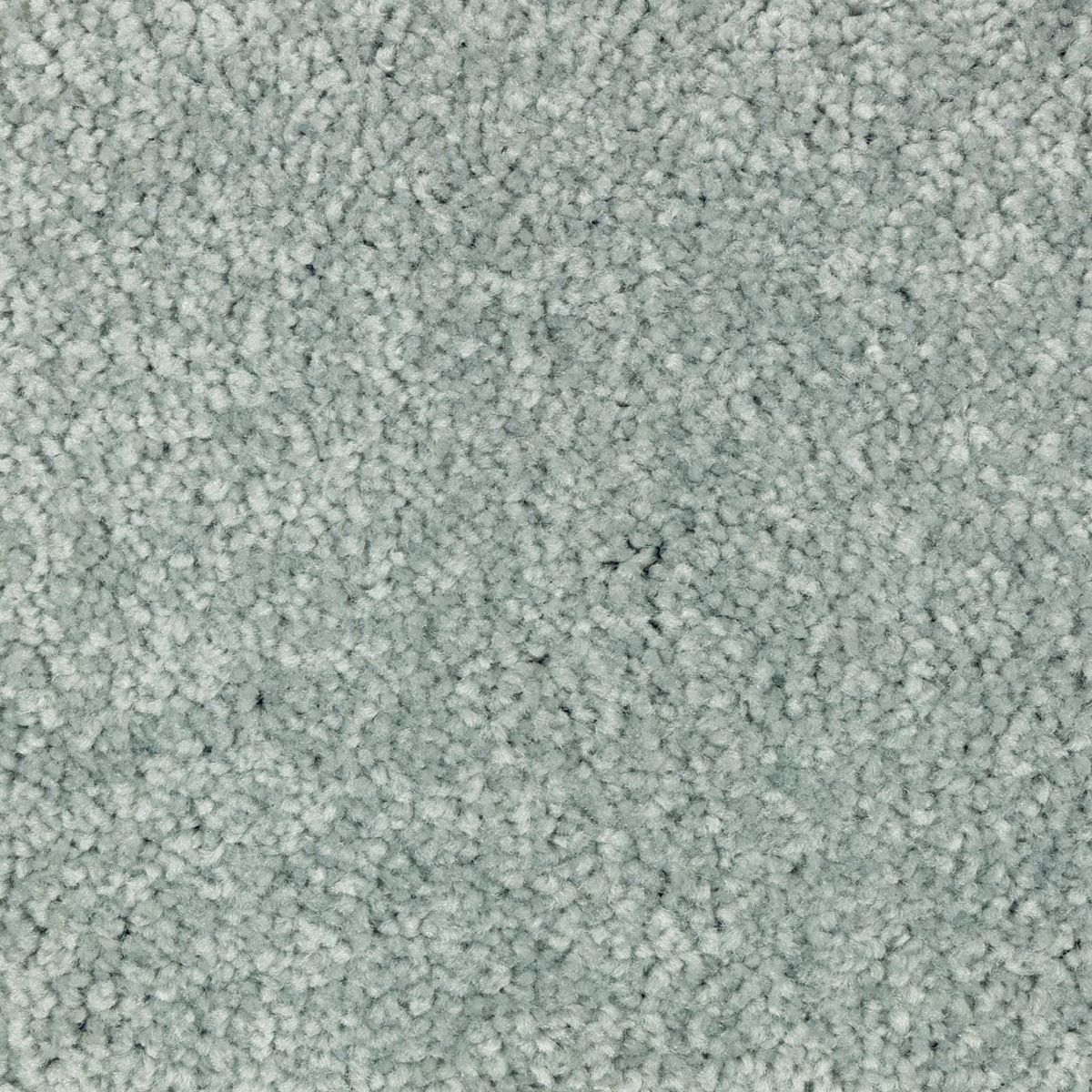 Elegant Appeal III carpet in Envy