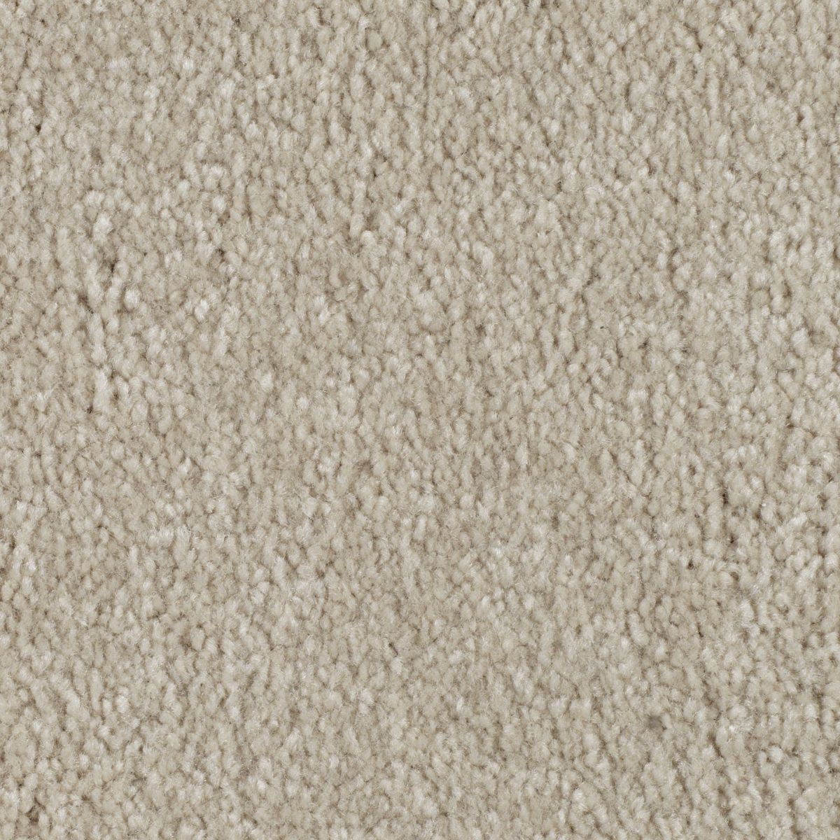 Elegant Appeal III carpet in Coastal