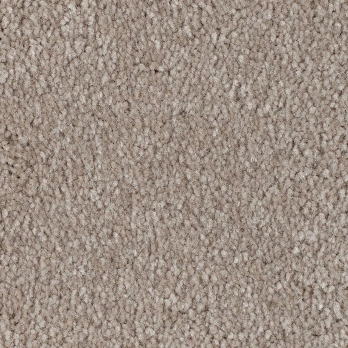 Elegant Appeal III carpet in Manor Stone