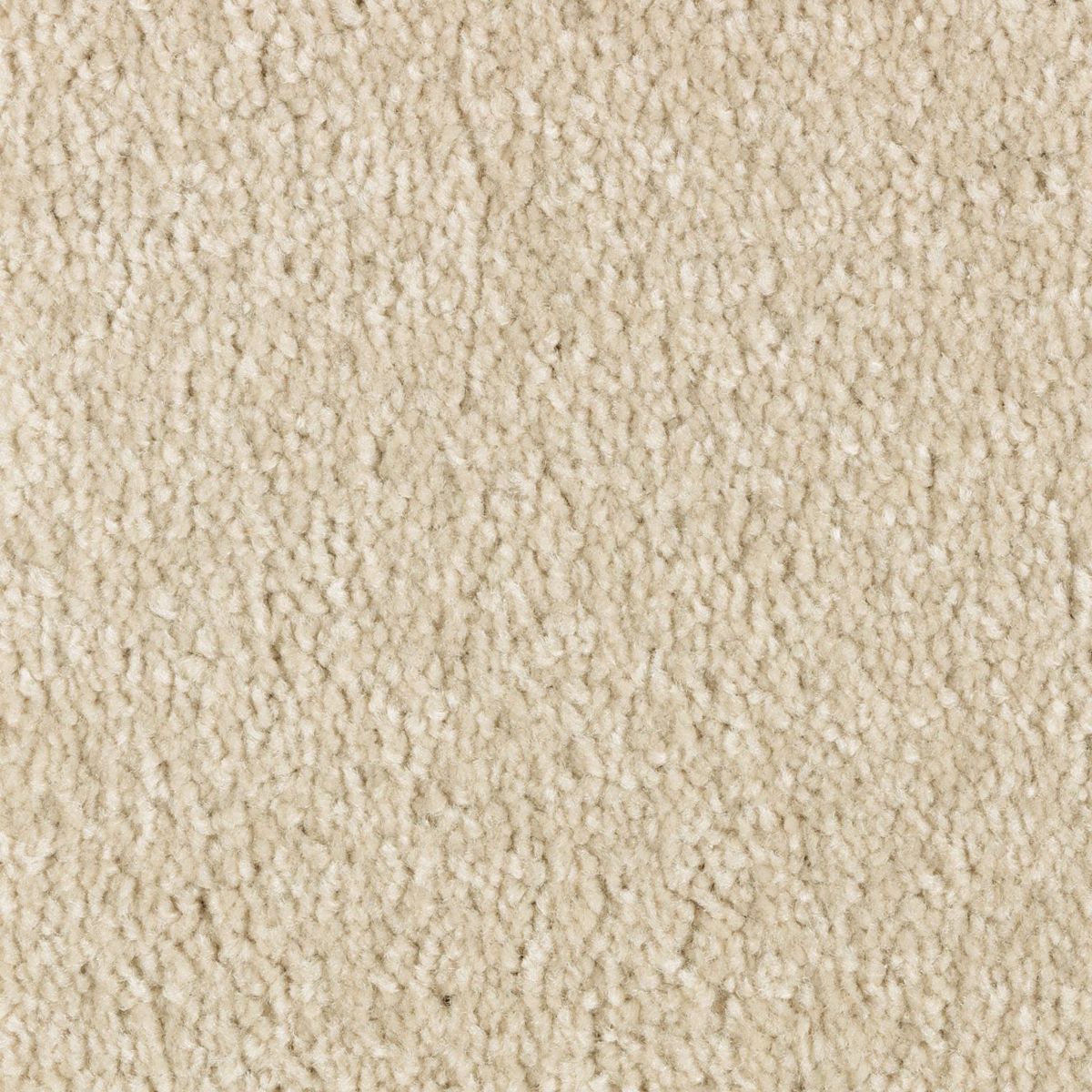 Elegant Appeal III carpet in Shell Trail