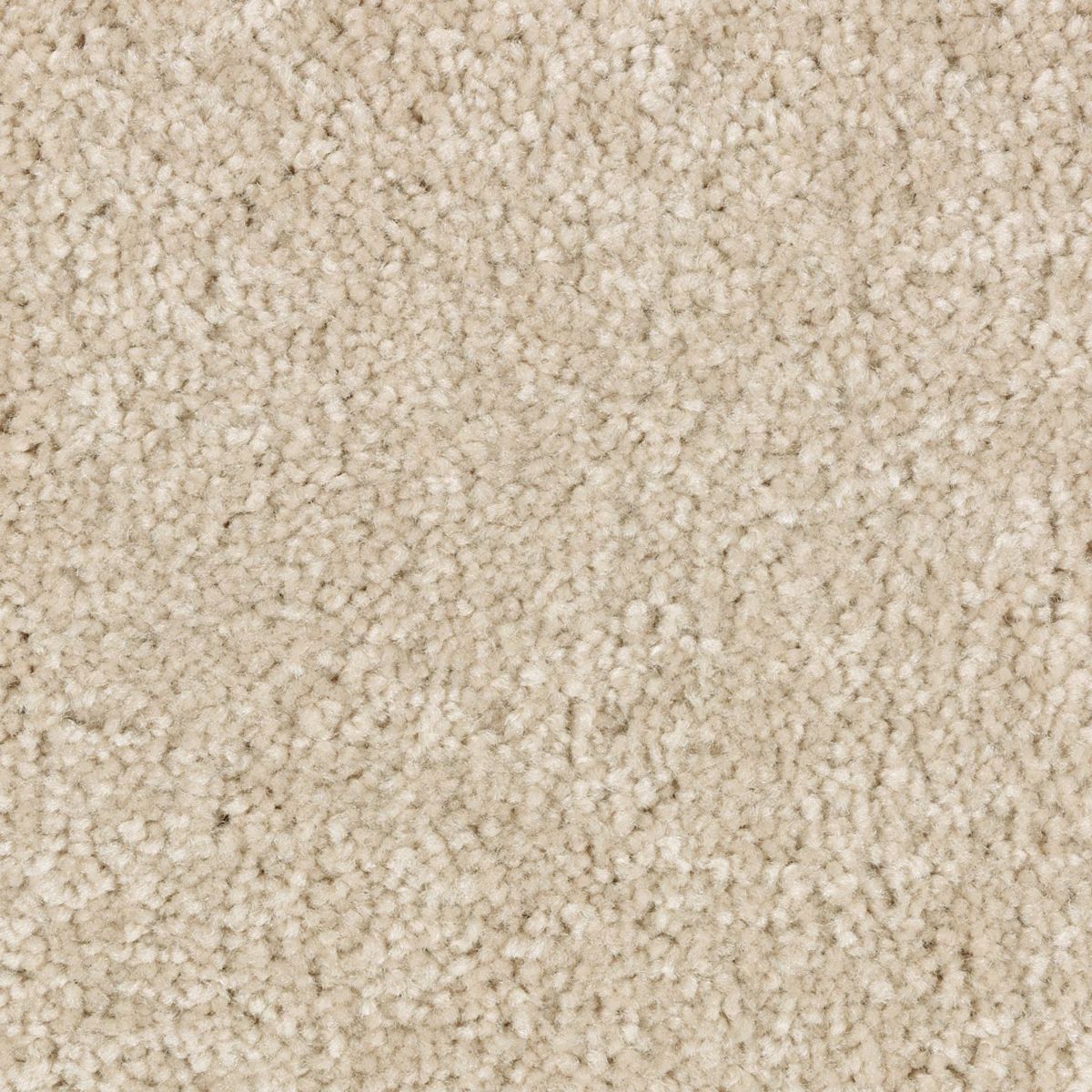 Elegant Appeal III carpet in Crepe