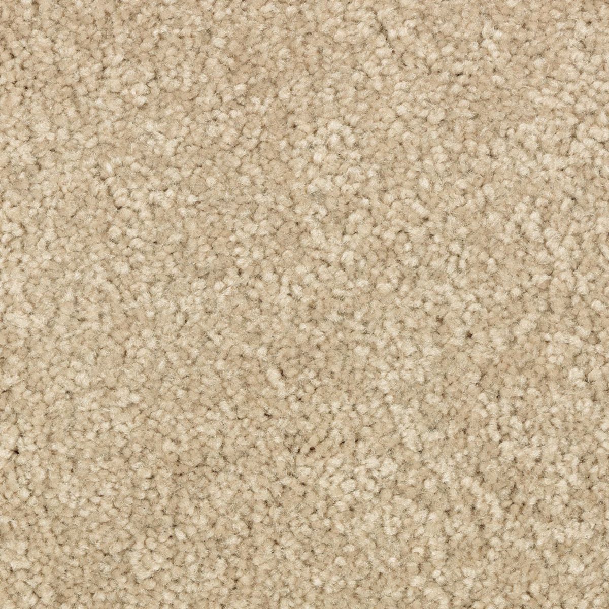Simple Touch III carpet in Autumn Glow