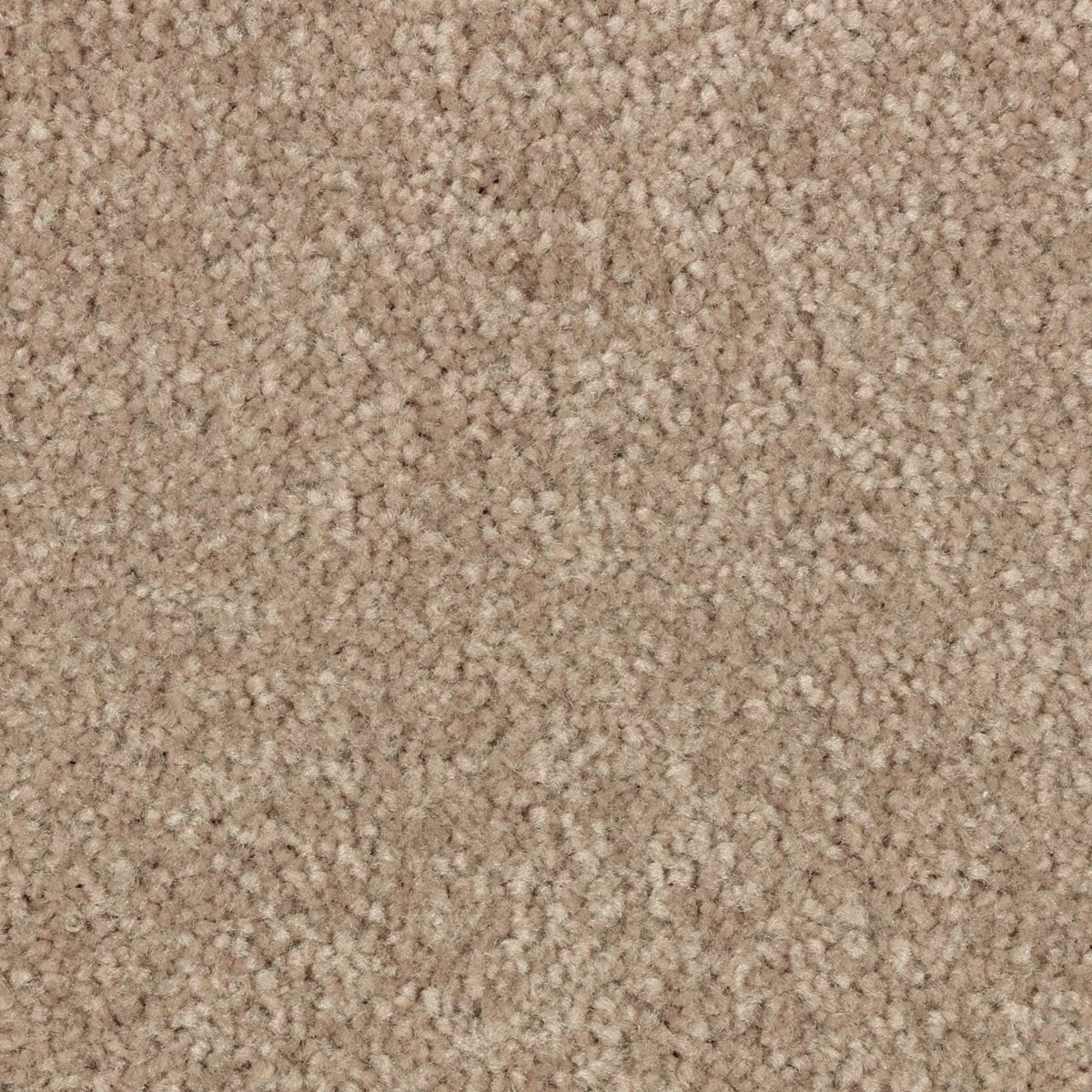 Elegant Appeal III carpet in Dash O'spice
