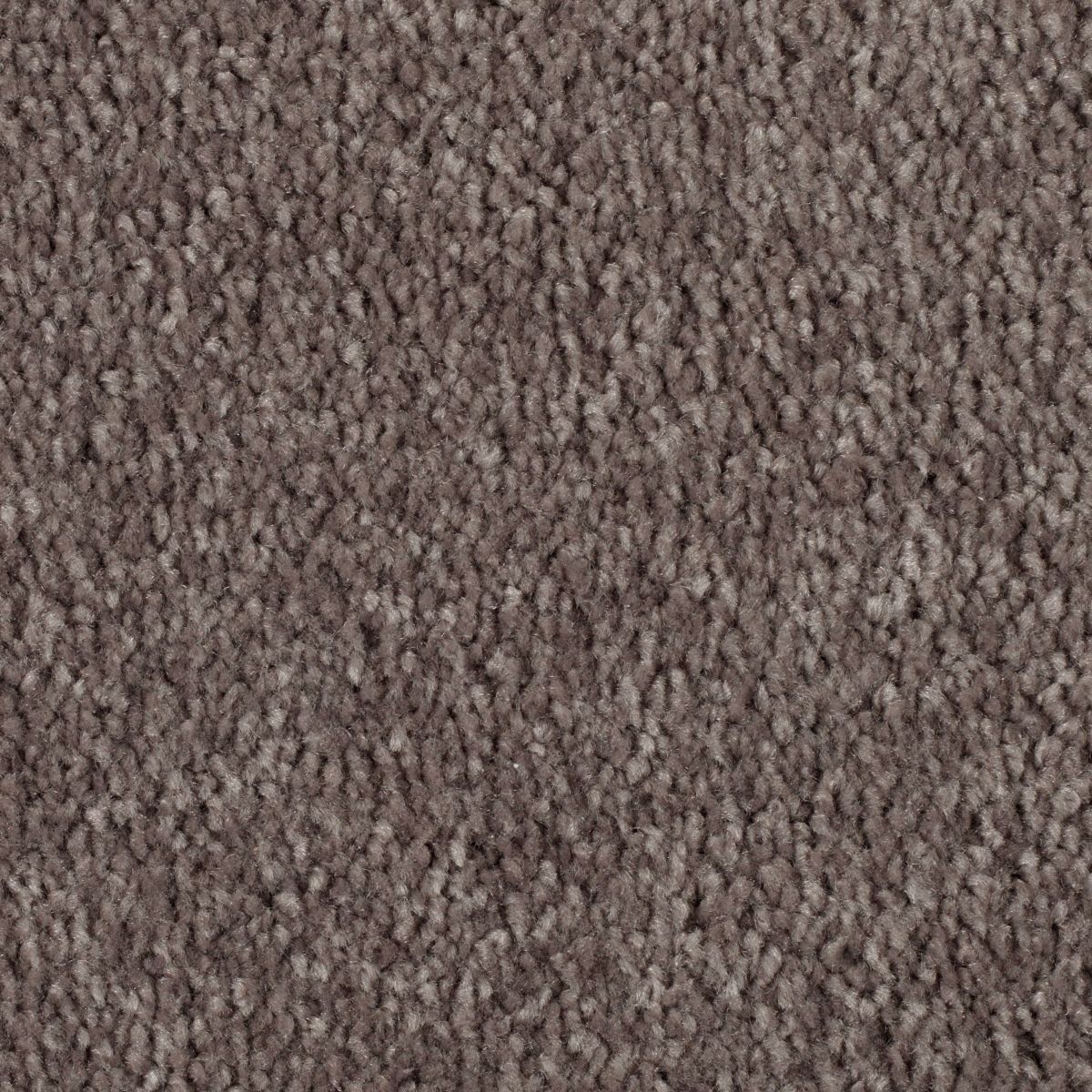 Elegant Appeal III carpet in Iron Rust