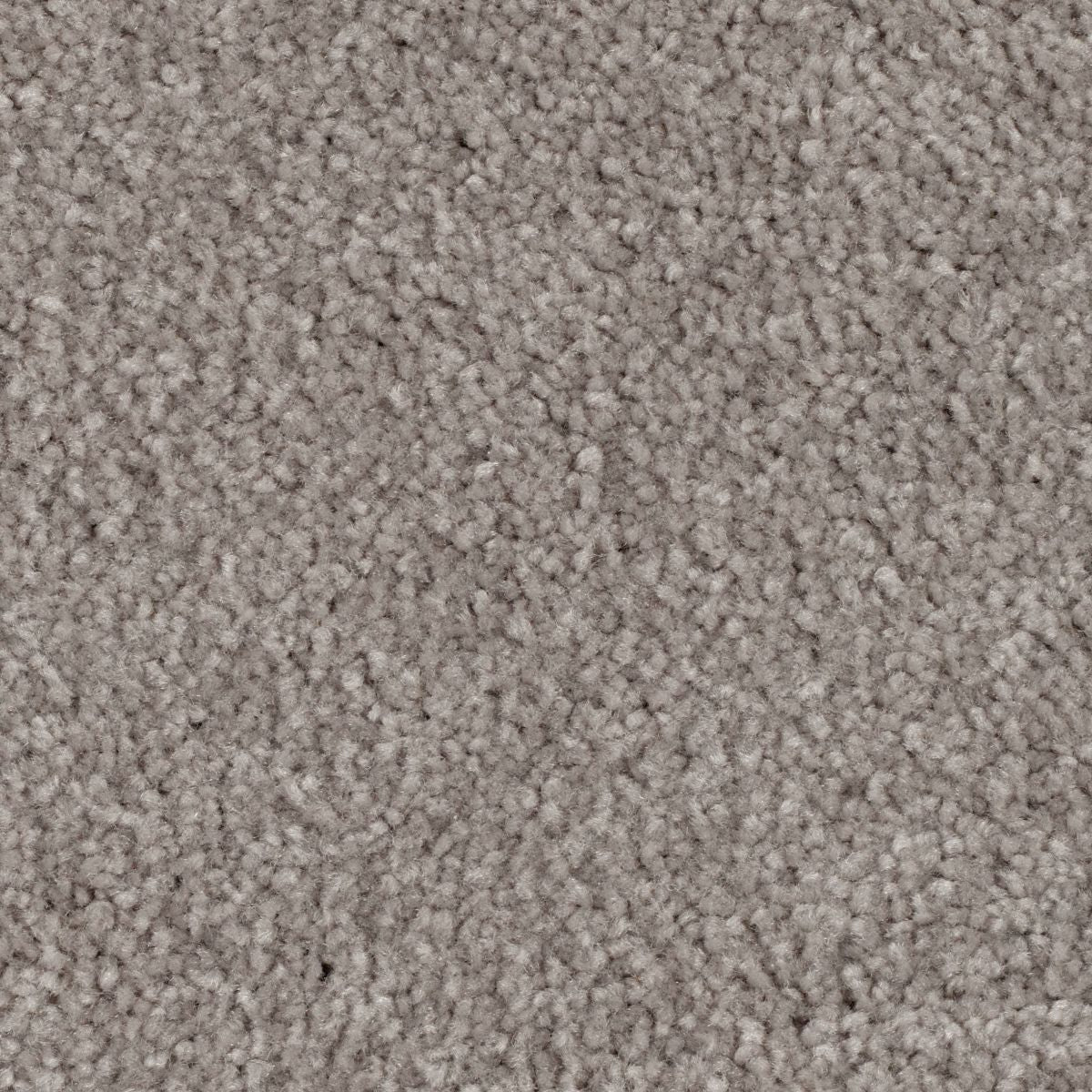 Simple Touch III carpet in London Fog