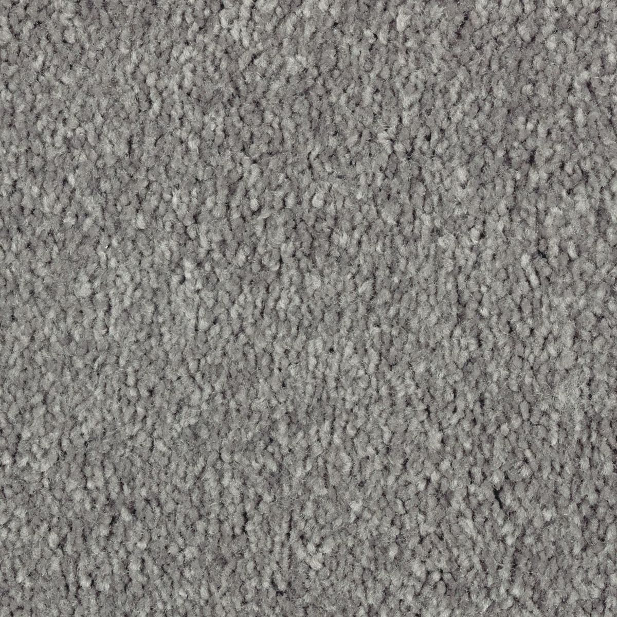 Elegant Appeal III carpet in Storm Watch