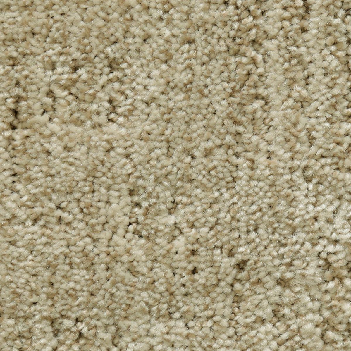 Random Nature carpet in Serenity