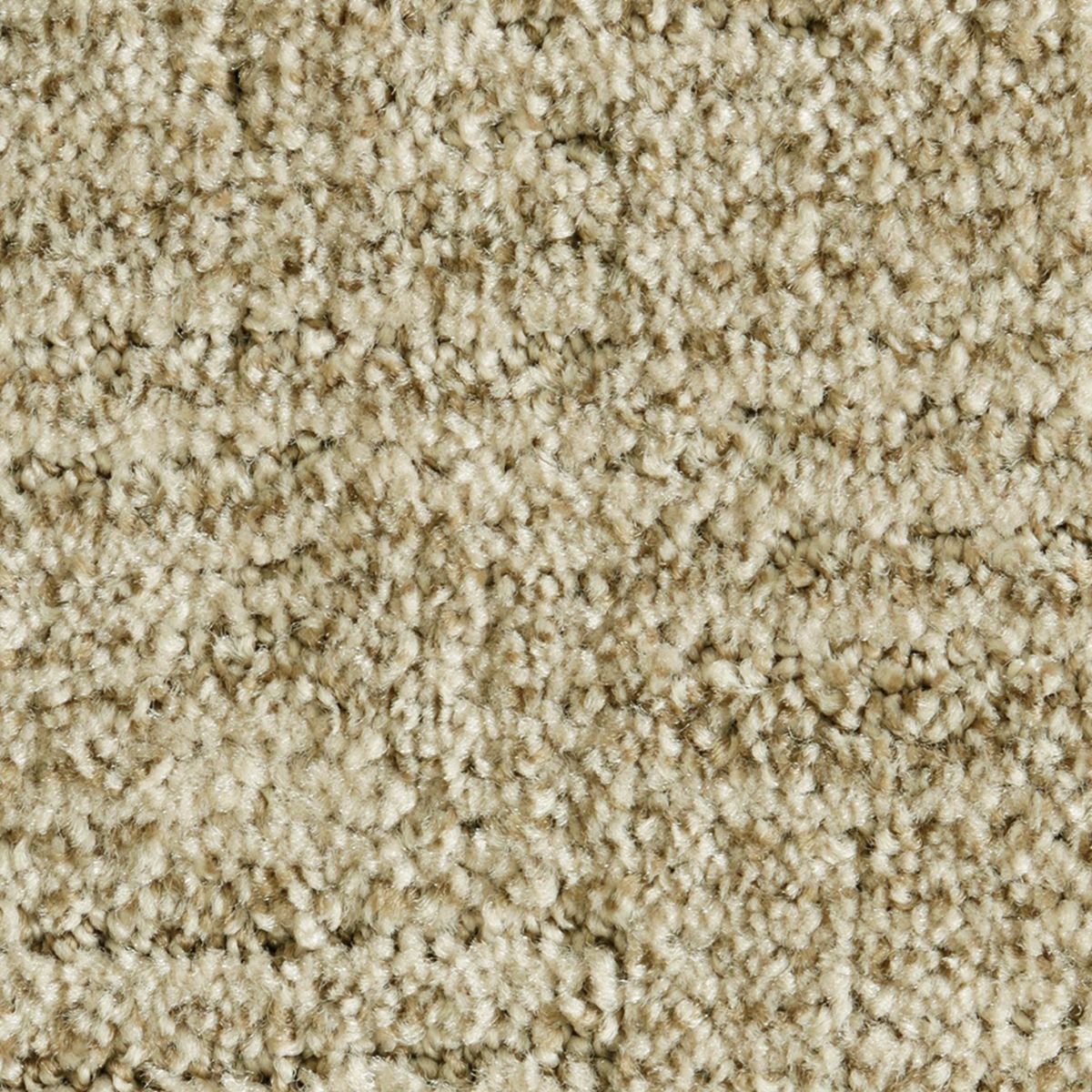 Random Nature carpet in Beachfront