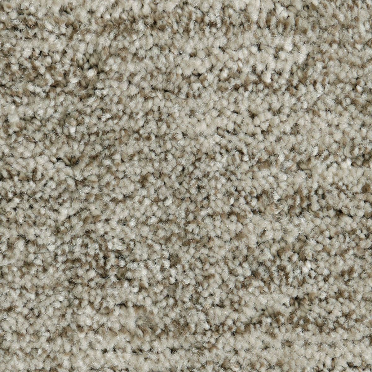 Random Nature carpet in Aberdeen