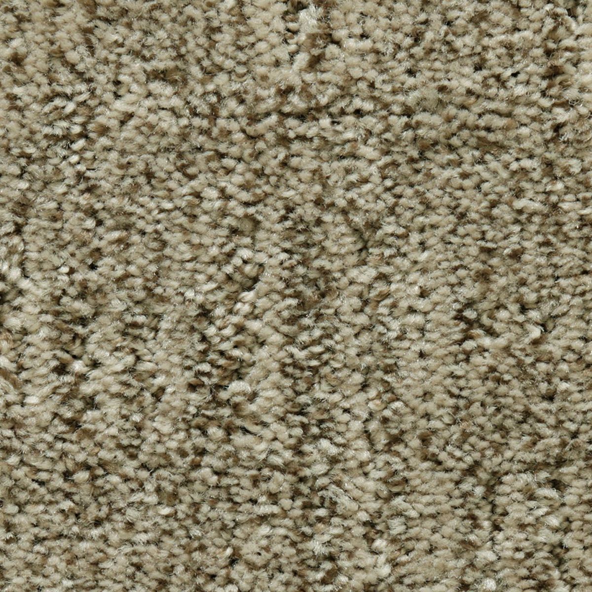 Antique Comfort carpet in Gazelle