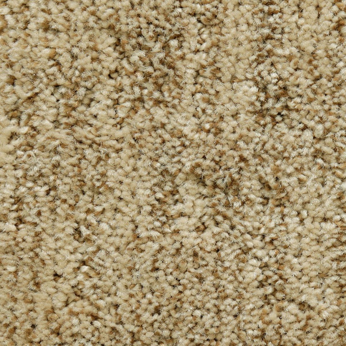 Random Nature carpet in Nectar