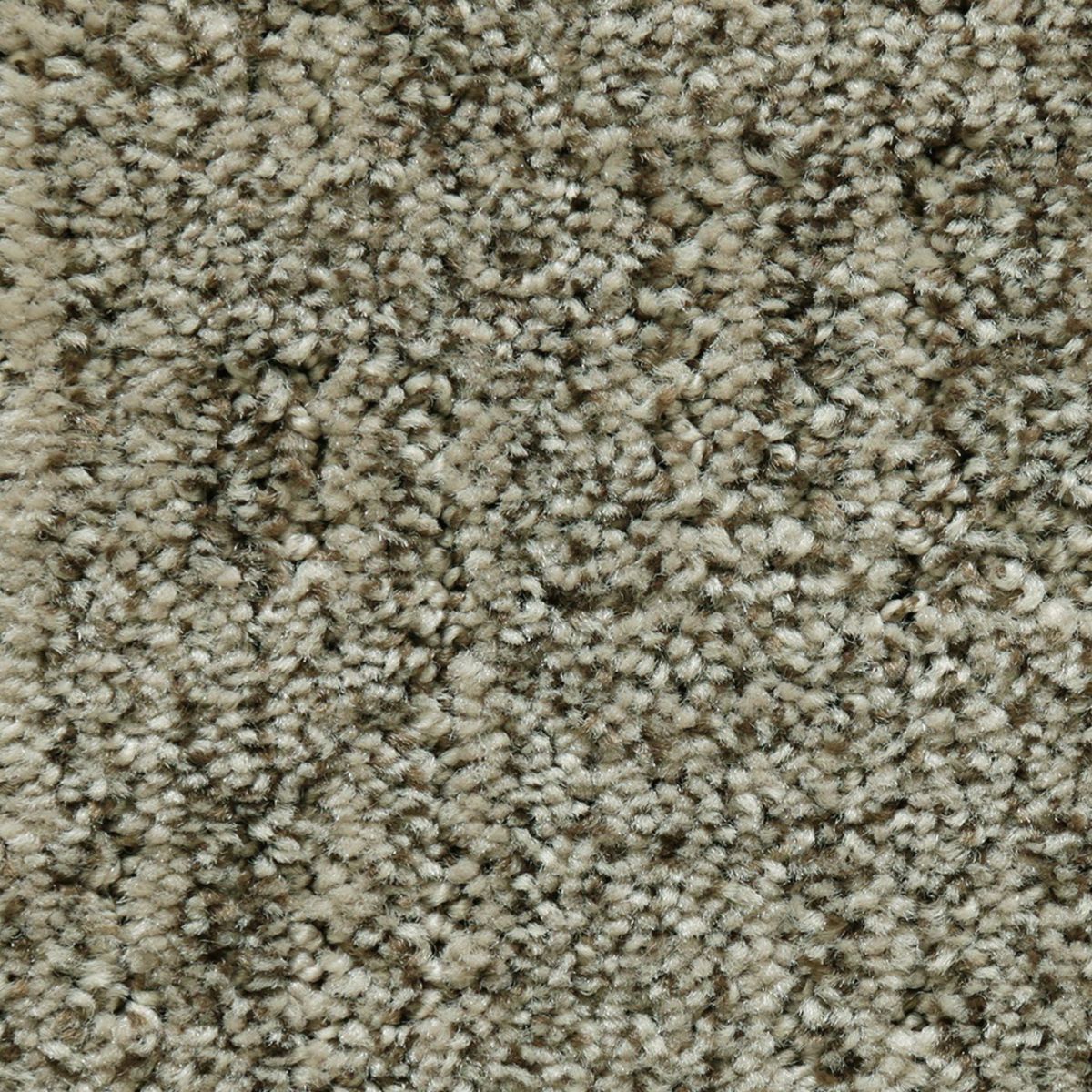 Antique Comfort carpet in Rustic Beam