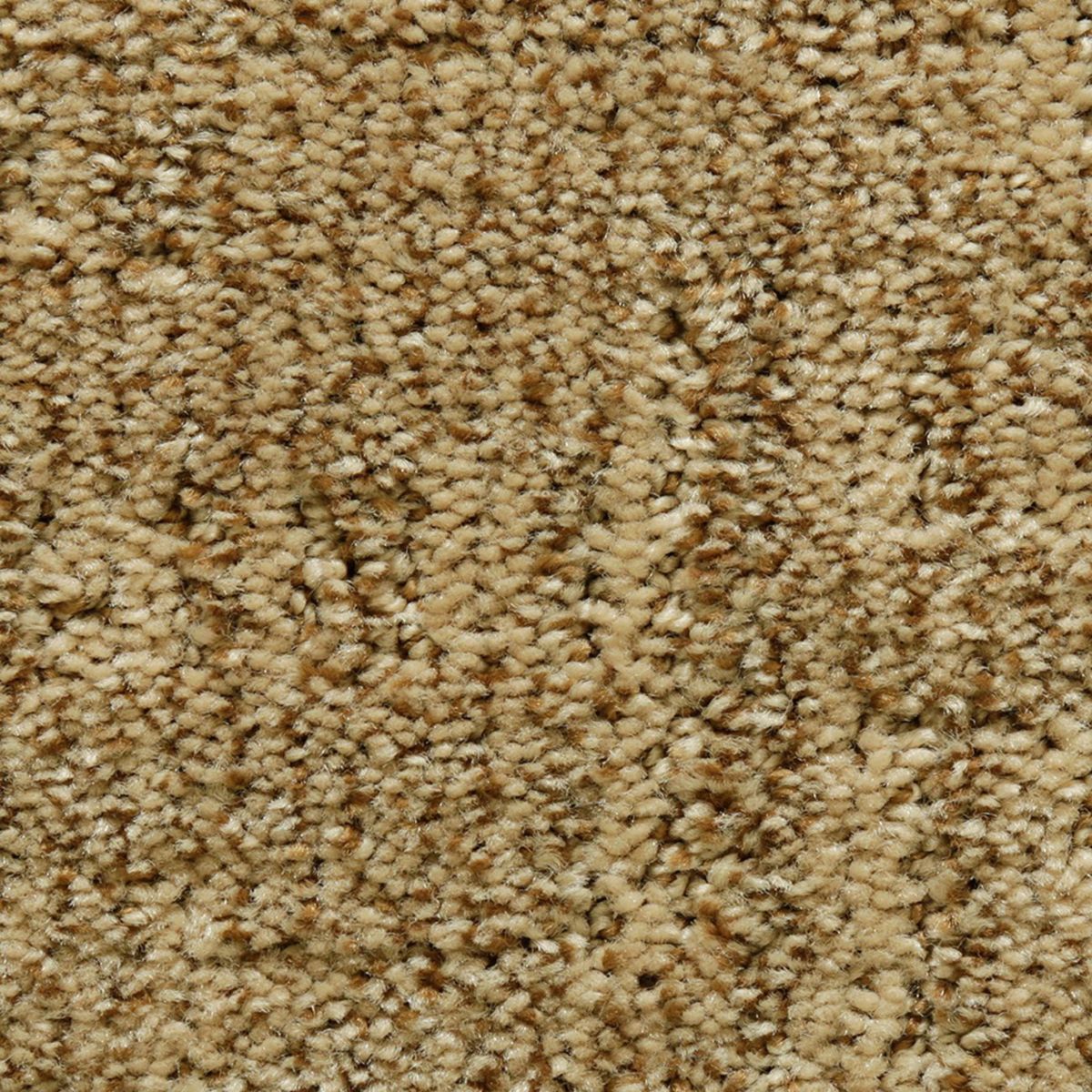 Antique Comfort carpet in Fresh Earth