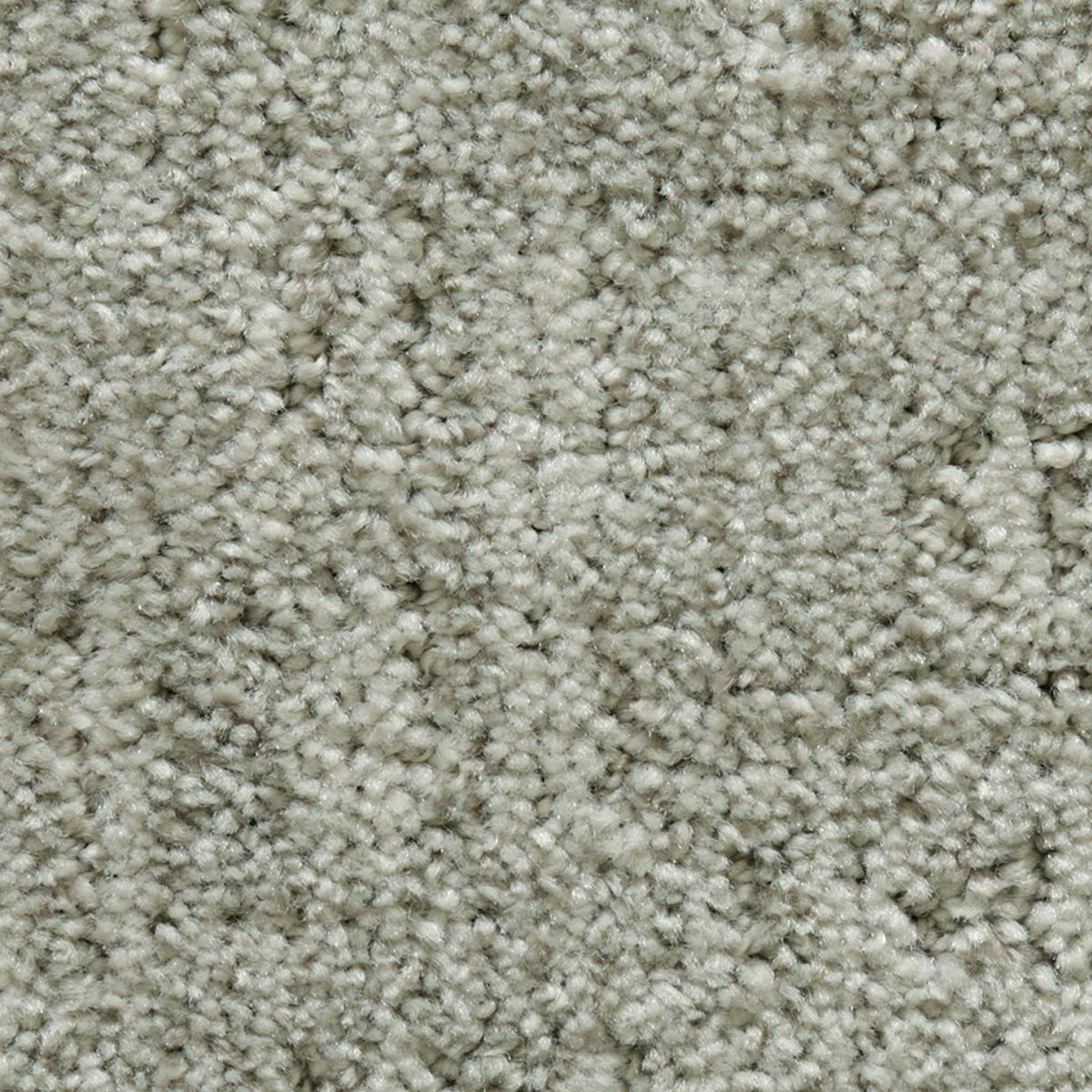 Antique Comfort carpet in Wall Street